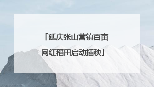 延庆张山营镇百亩网红稻田启动插秧