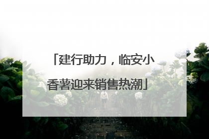 建行助力，临安小香薯迎来销售热潮