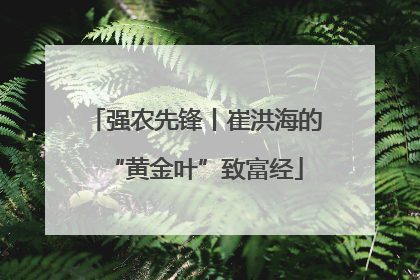 强农先锋丨崔洪海的“黄金叶”致富经
