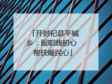 开封杞县平城乡：履职践初心 帮扶暖民心