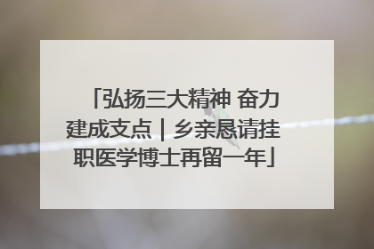 弘扬三大精神 奋力建成支点｜乡亲恳请挂职医学博士再留一年