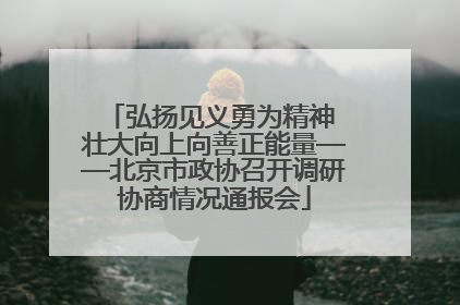 弘扬见义勇为精神 壮大向上向善正能量——北京市政协召开调研协商情况通报会