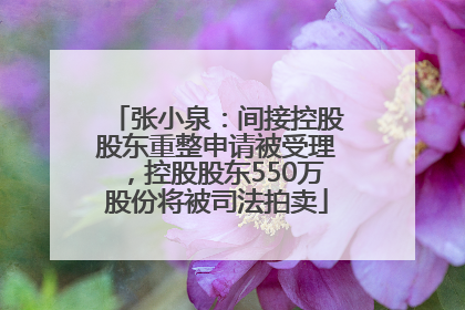 张小泉：间接控股股东重整申请被受理，控股股东550万股份将被司法拍卖