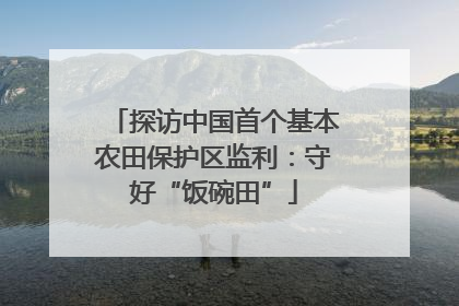 探访中国首个基本农田保护区监利：守好“饭碗田”