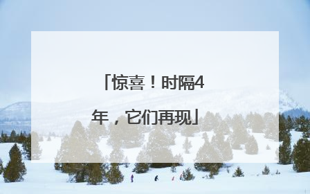 惊喜！时隔4年，它们再现