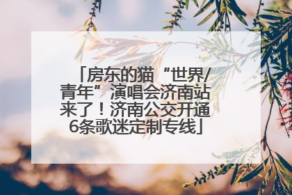 房东的猫“世界/青年”演唱会济南站来了！济南公交开通6条歌迷定制专线