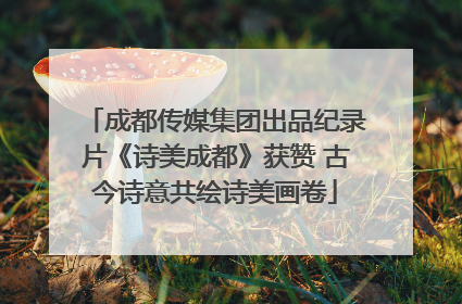 成都传媒集团出品纪录片《诗美成都》获赞 古今诗意共绘诗美画卷