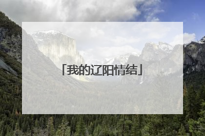 我的辽阳情结