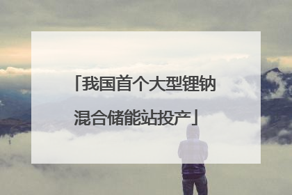 我国首个大型锂钠混合储能站投产