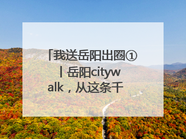 我送岳阳出圈①丨岳阳citywalk，从这条千年老街开始！