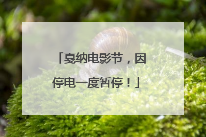 戛纳电影节，因停电一度暂停！