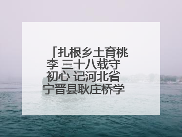 扎根乡土育桃李 三十八载守初心 记河北省宁晋县耿庄桥学区教师张志涛