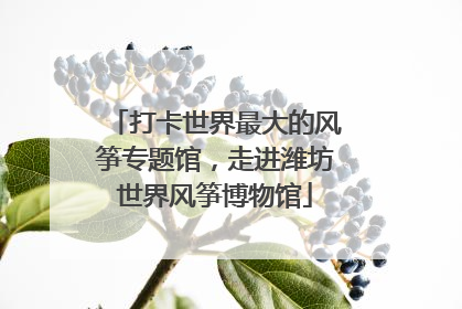 打卡世界最大的风筝专题馆，走进潍坊世界风筝博物馆