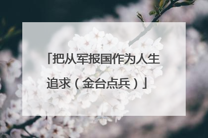 把从军报国作为人生追求（金台点兵）