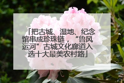把古城、湿地、纪念馆串成珍珠链，“鲁风运河”古城文化廊道入选十大最美农村路