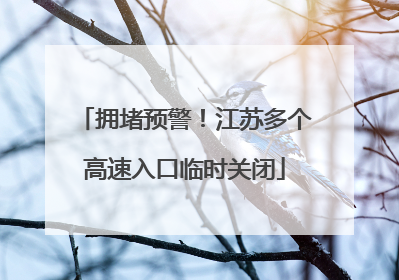 拥堵预警！江苏多个高速入口临时关闭