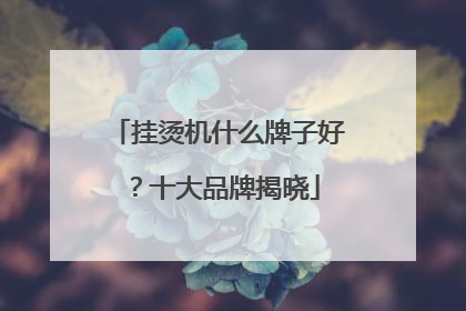 挂烫机什么牌子好？十大品牌揭晓