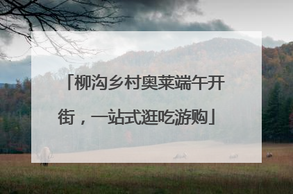 柳沟乡村奥莱端午开街，一站式逛吃游购