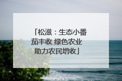 松滋：生态小番茄丰收 绿色农业助力农民增收