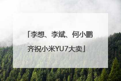 李想、李斌、何小鹏齐祝小米YU7大卖