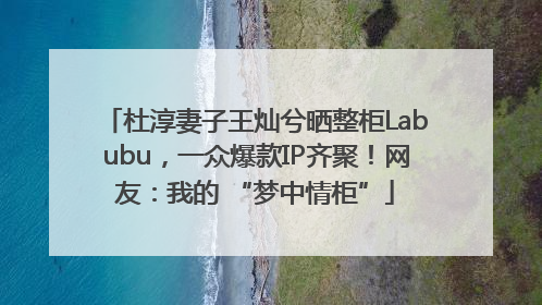杜淳妻子王灿兮晒整柜Labubu，一众爆款IP齐聚！网友：我的 “梦中情柜”