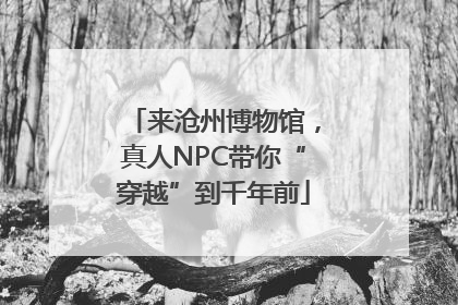 来沧州博物馆，真人NPC带你“穿越”到千年前