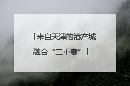 来自天津的港产城融合“三重奏”