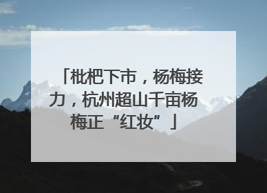 枇杷下市，杨梅接力，杭州超山千亩杨梅正“红妆”