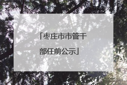 枣庄市市管干部任前公示