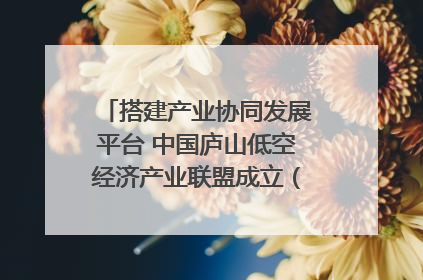 搭建产业协同发展平台 中国庐山低空经济产业联盟成立（组图｜视频）
