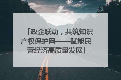 政企联动，共筑知识产权保护网——赋能民营经济高质量发展