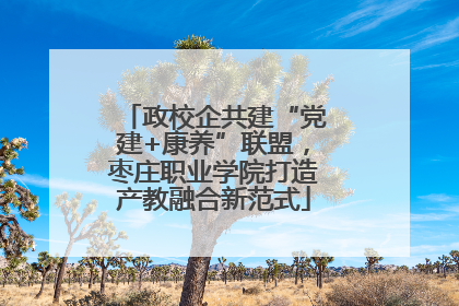 政校企共建“党建+康养”联盟，枣庄职业学院打造产教融合新范式