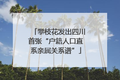 攀枝花发出四川首张“户籍人口直系亲属关系谱”