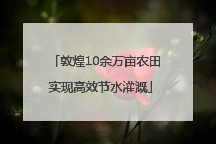 敦煌10余万亩农田实现高效节水灌溉