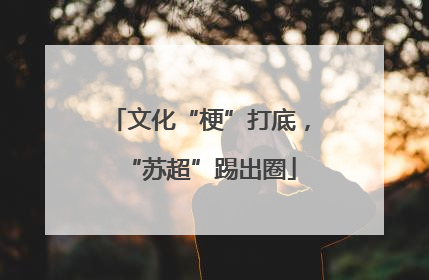 文化“梗”打底，“苏超”踢出圈