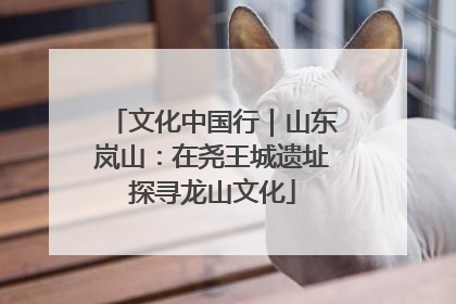 文化中国行｜山东岚山：在尧王城遗址探寻龙山文化