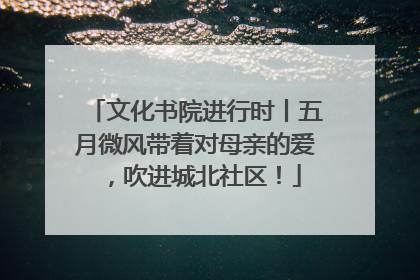 文化书院进行时丨五月微风带着对母亲的爱，吹进城北社区！
