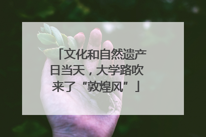 文化和自然遗产日当天，大学路吹来了“敦煌风”