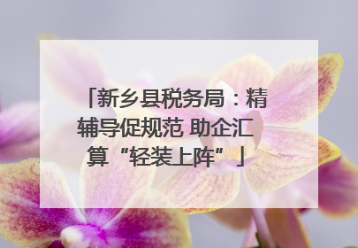 新乡县税务局：精辅导促规范 助企汇算“轻装上阵”