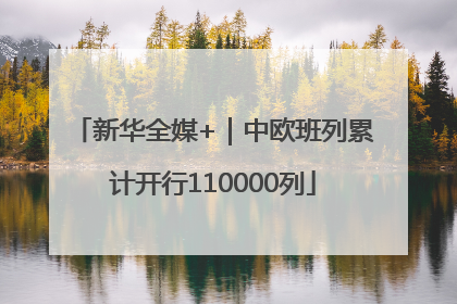 新华全媒+｜中欧班列累计开行110000列
