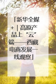 新华全媒+｜高原产品上“云”端——西藏电商发展一线观察