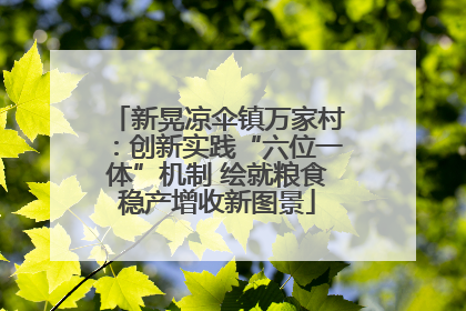 新晃凉伞镇万家村：创新实践“六位一体”机制 绘就粮食稳产增收新图景