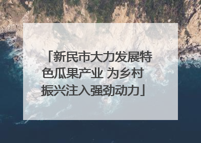 新民市大力发展特色瓜果产业 为乡村振兴注入强劲动力