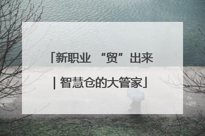 新职业 “贸”出来｜智慧仓的大管家