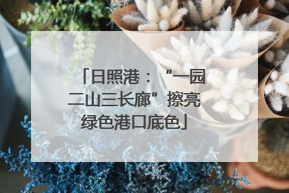 日照港：“一园二山三长廊”擦亮绿色港口底色