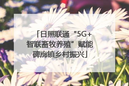 日照联通“5G+智联畜牧养殖”赋能碑廓镇乡村振兴