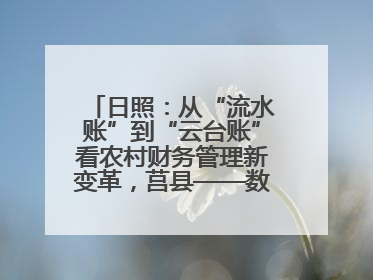 日照：从“流水账”到“云台账”看农村财务管理新变革，莒县——数字赋能激活乡村振兴“一池春水”