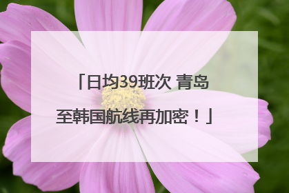 日均39班次 青岛至韩国航线再加密！