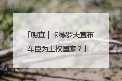 明查｜卡德罗夫宣布车臣为主权国家？