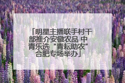 明星主播联手村干部推介安徽农品 中青乐选“青耘助农”合肥专场举办